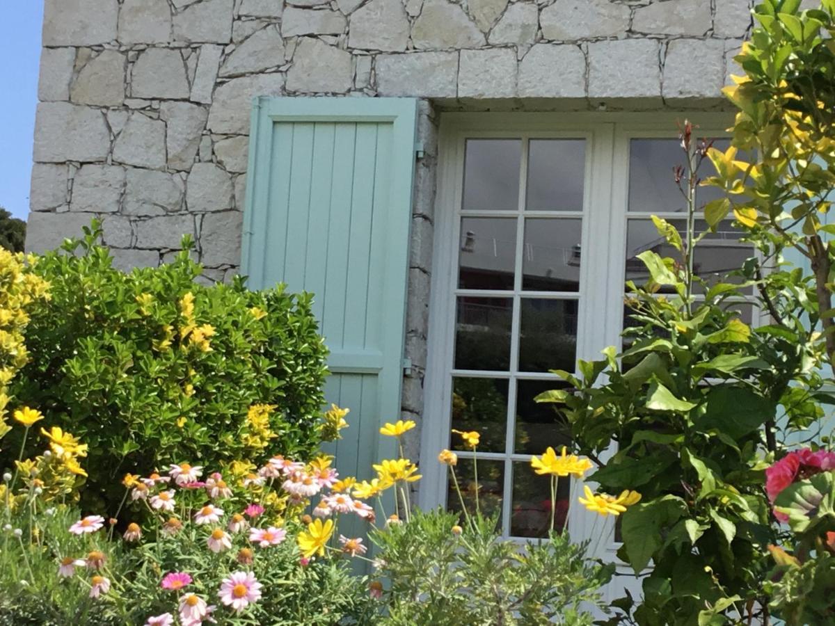 Villa Alessia อองทีบส์ ภายนอก รูปภาพ
