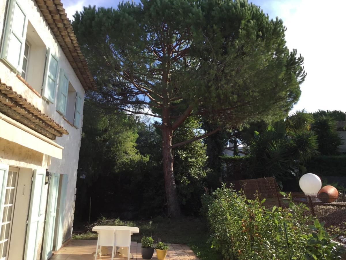 Villa Alessia อองทีบส์ ภายนอก รูปภาพ