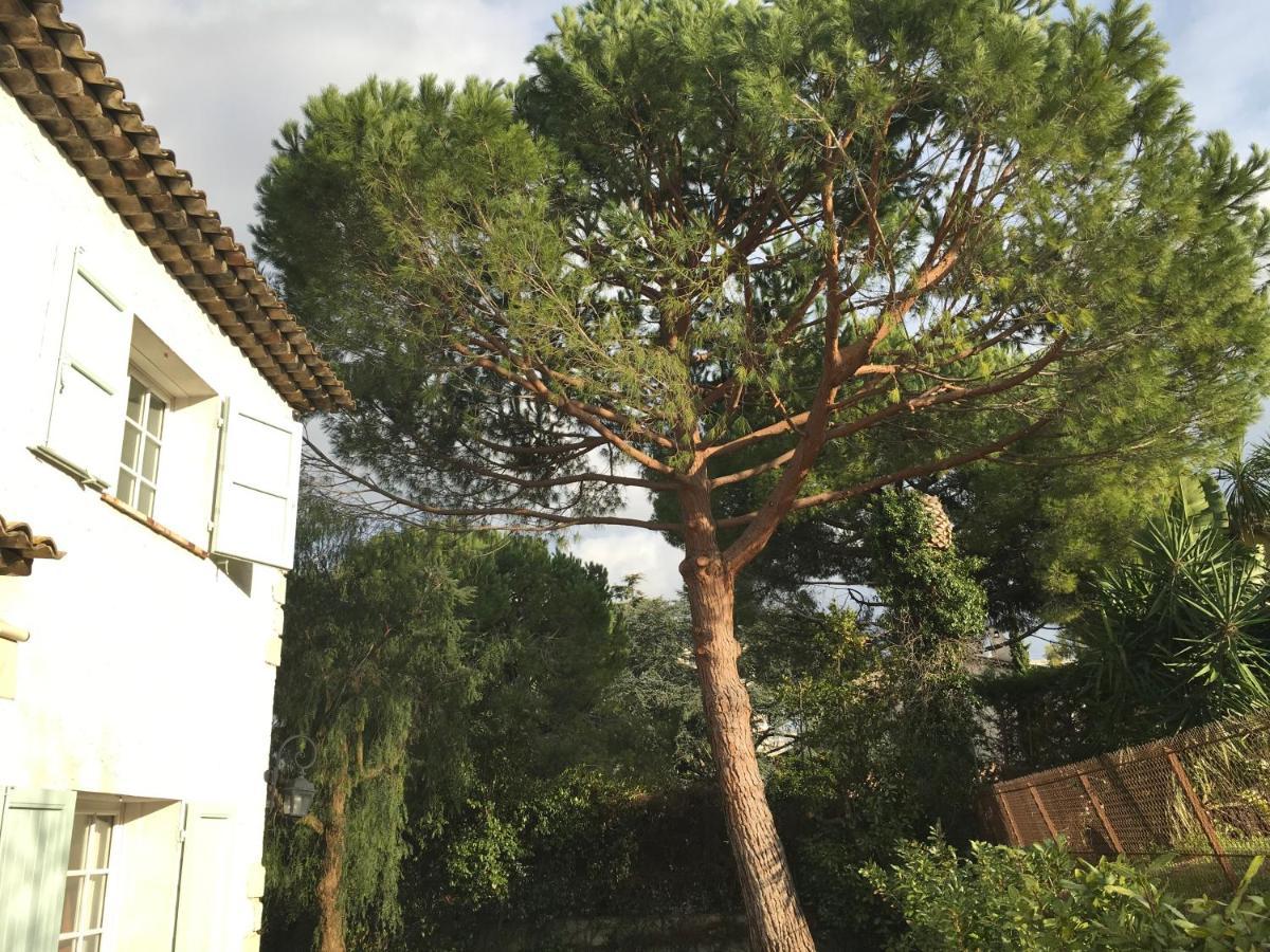 Villa Alessia อองทีบส์ ภายนอก รูปภาพ