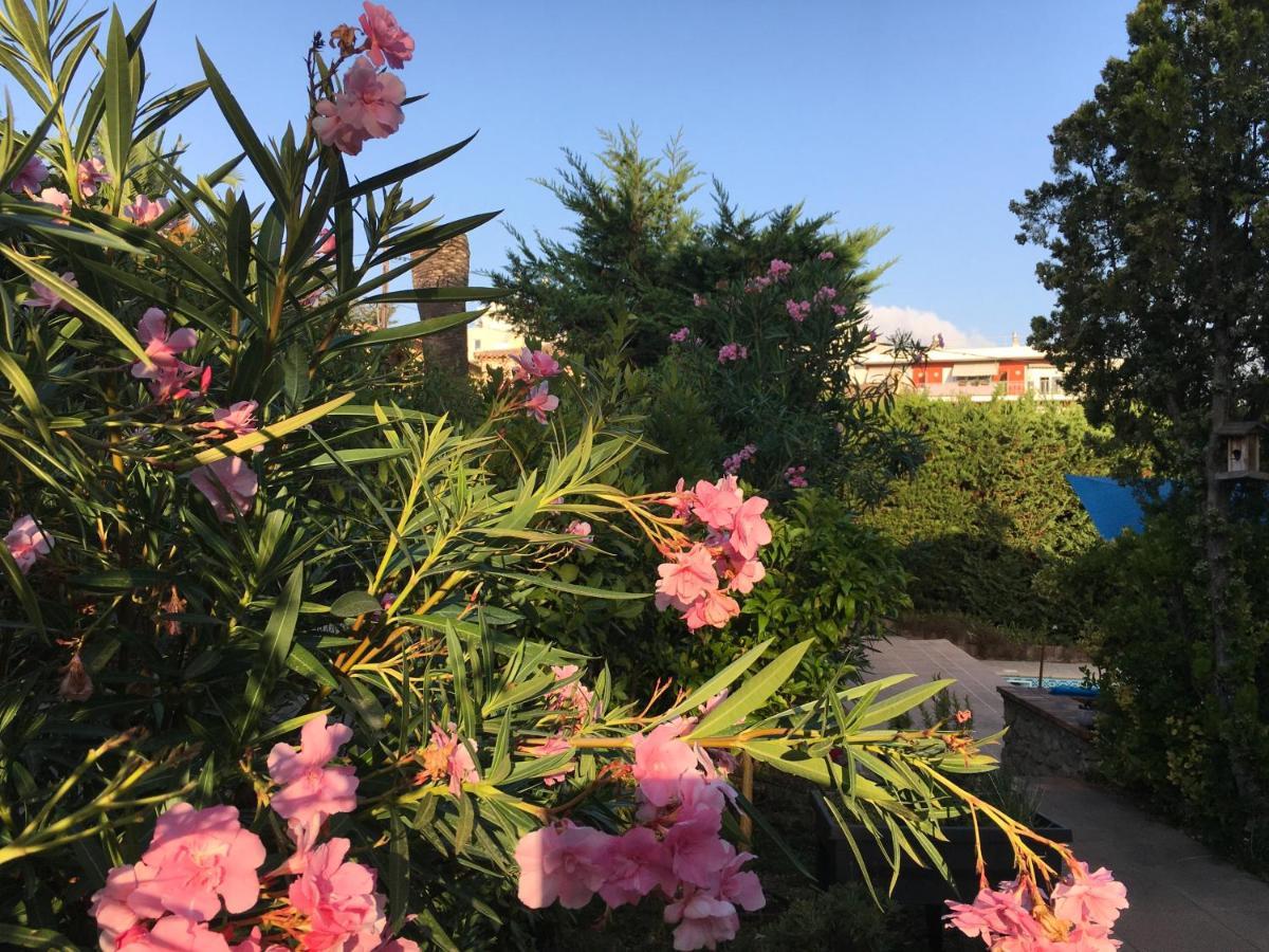 Villa Alessia อองทีบส์ ภายนอก รูปภาพ