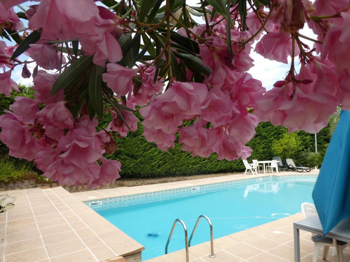 Villa Alessia อองทีบส์ ภายนอก รูปภาพ