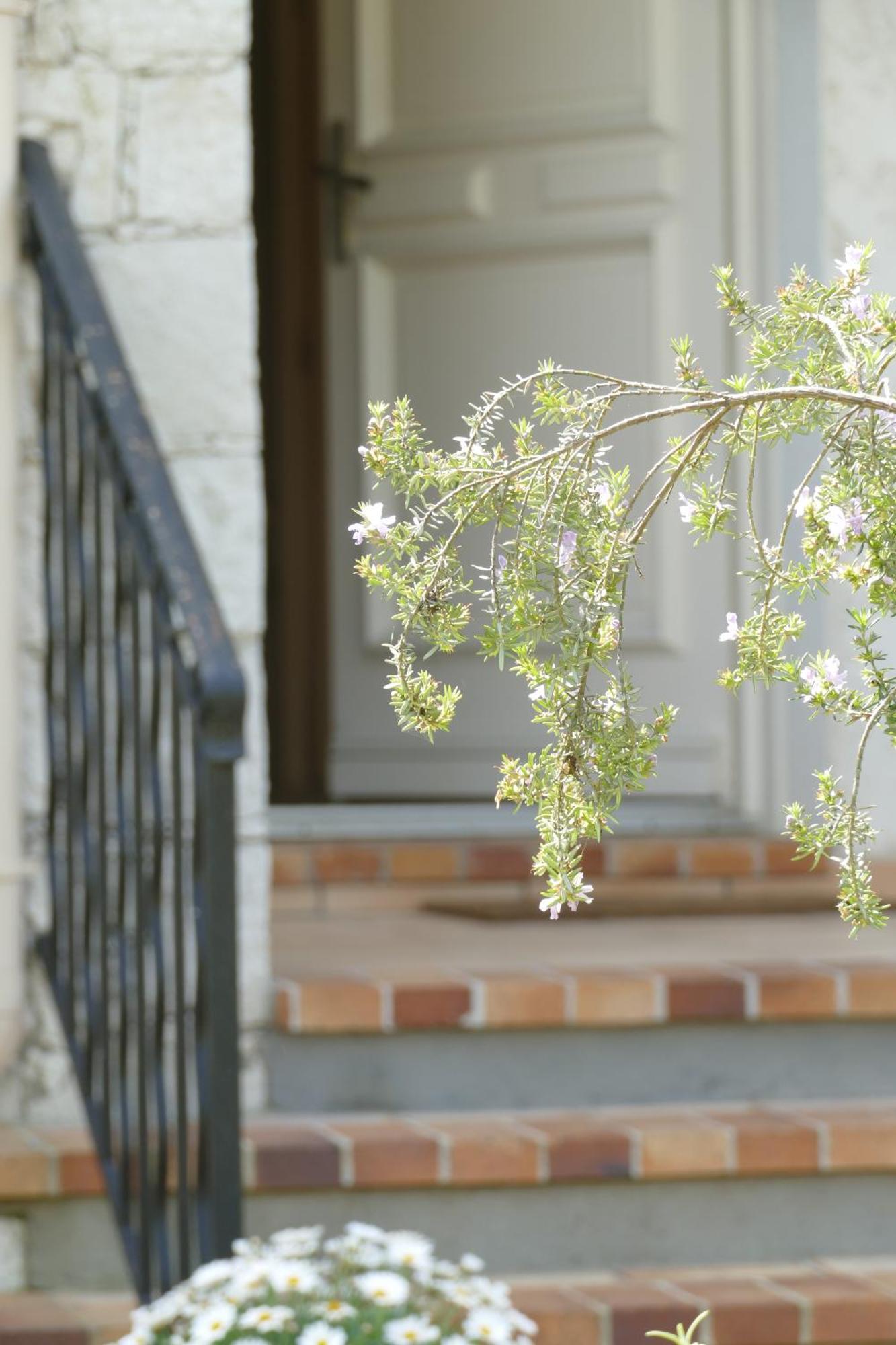 Villa Alessia อองทีบส์ ภายนอก รูปภาพ