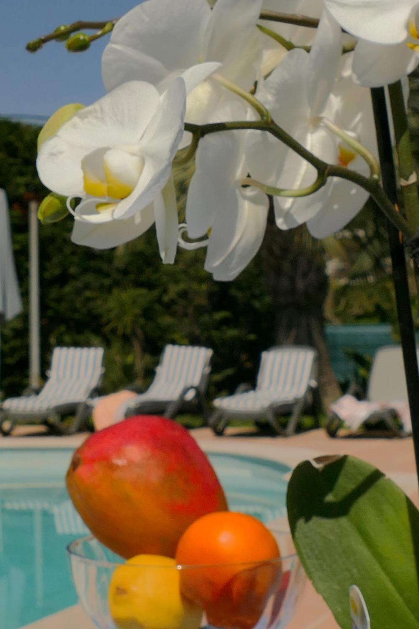 Villa Alessia อองทีบส์ ภายนอก รูปภาพ