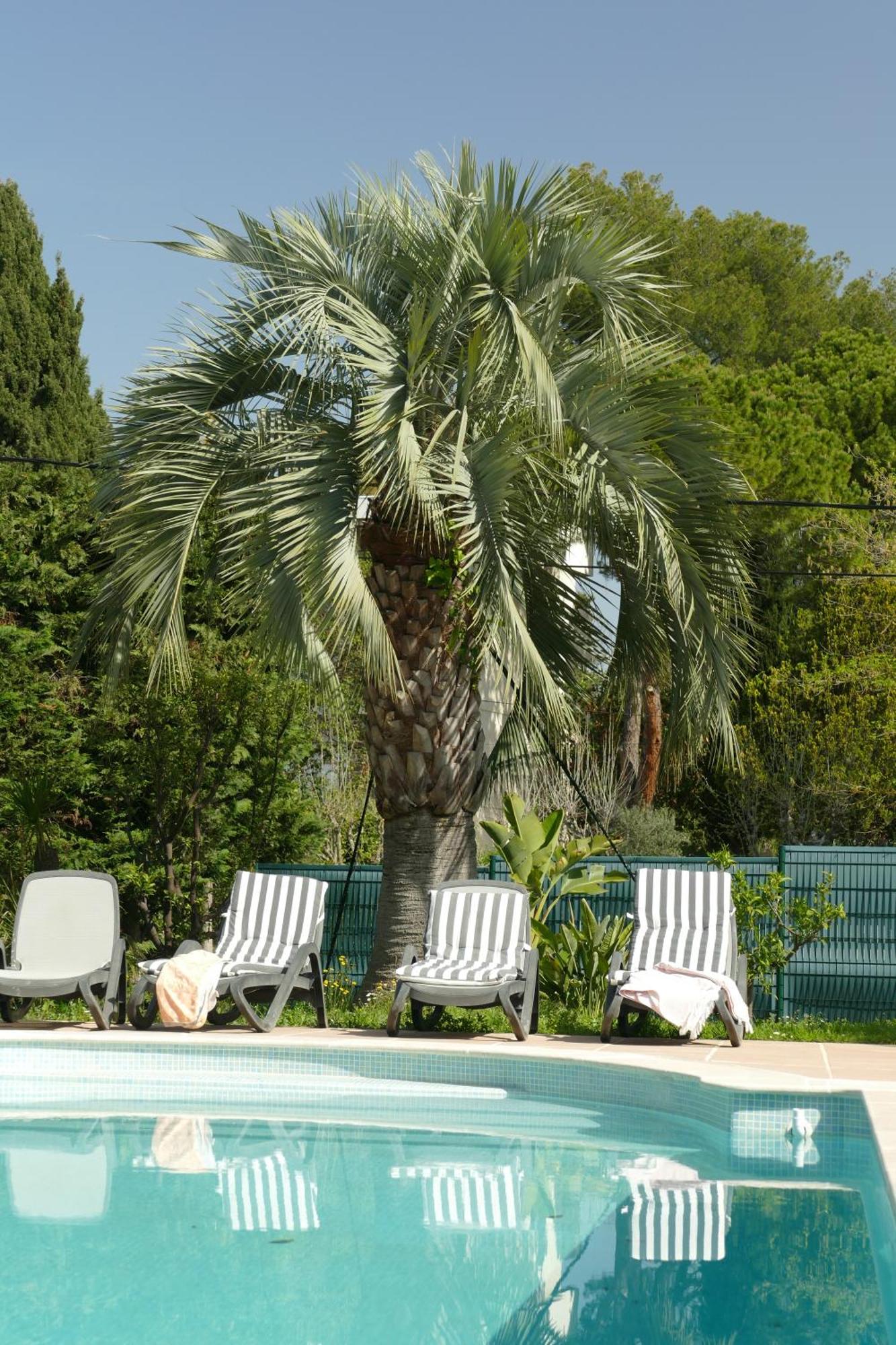 Villa Alessia อองทีบส์ ภายนอก รูปภาพ