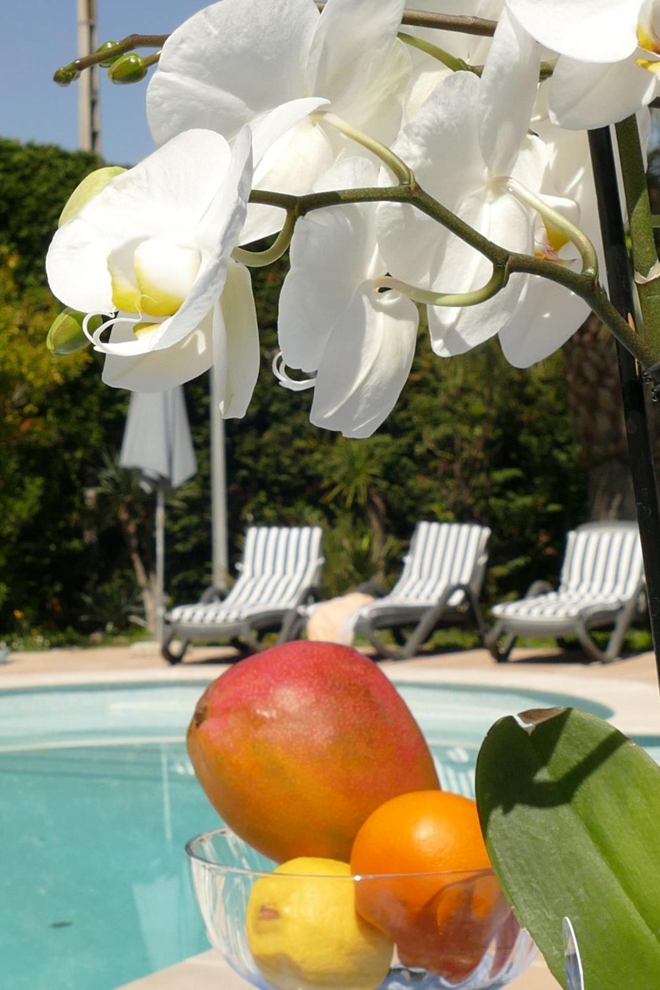 Villa Alessia อองทีบส์ ภายนอก รูปภาพ